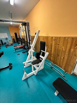 Prsa tlak - tlaky na prsa - chest press - 2