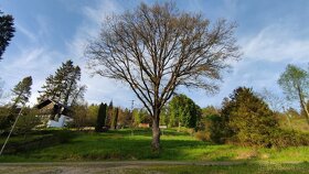 Stavební pozemek 1380m2 v Babylonu u Domažlic - 2