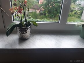 Okna, dveře k nízkonákladové rekonstrukci SLEVA - 2