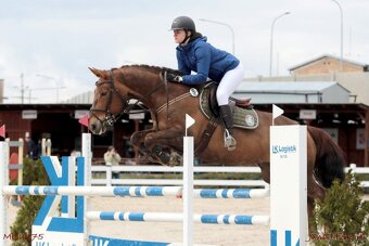 REZERVACE- Kobylka na sport, chov i rekreaci - 2