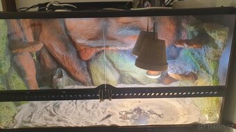 Terarium Agama vousata + svetla, pisek atd - 2