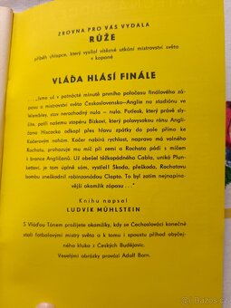 Miloš Kosina: Hoši z Modré zatoky - 2
