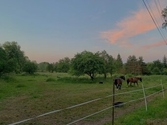 Nabízím netradiční ustájení 24/7 - 2