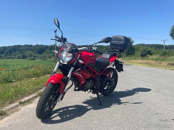Benelli BN 125 - 2019 - Červená - 2