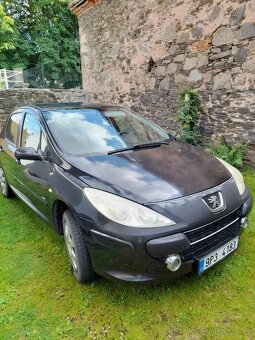 Peugeot 307 1,6 - 2