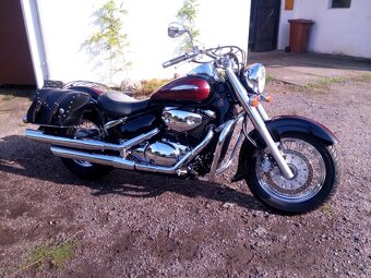 Suzuki VL 800 Volusia - 2