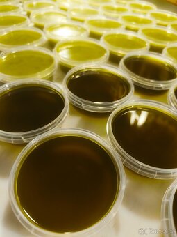 Silná BIO konopná mast nebo balzám - 2