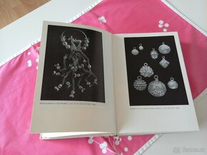 Přehled dějin Československa do roku 1526 - 2