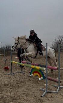 Pony kobylka 13let - 2