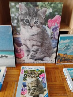 Daruji 3x Puzzle Ravensburger - 2