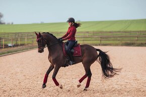 Equestrian Stockholm Bordeaux DL - 2