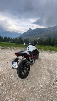 Honda Hornet CB 750 – r.v. 2024 - 2
