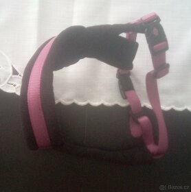 kšíry pro pejska - 2