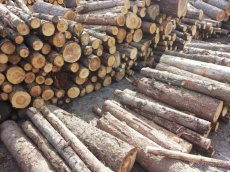 Palivové dřevo smrk Prachatice a okolí do 50 km - 2