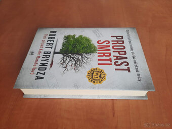 Robert Bryndza - Propast smrti - 2