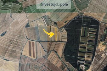 Prodej pole v k.ú. Moravský Písek - 2