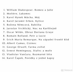 Vypracované maturitní otázky - rozbor knih, český jazyk - 2