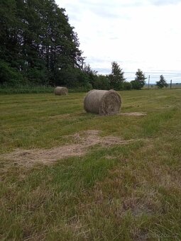 Seno - kulaté balíky - 2