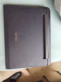 Asus velký - 2