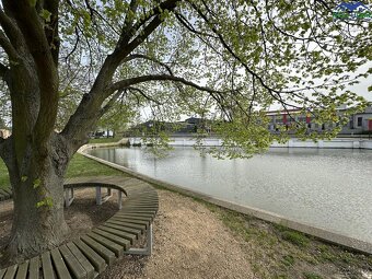 Prodej, rodinný dům 4+kk, zahrada, bazén, kůlna, celková plo - 2