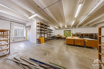 Pronájem průmyslového prostoru, 250 m², Uherský Brod - 2