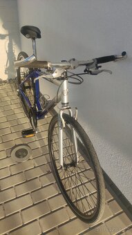 Kolo Maxbike - 2