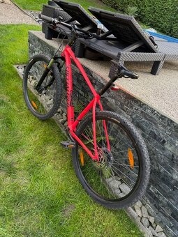 Specialized Rockhopper  vel. M  kola 29 - 2
