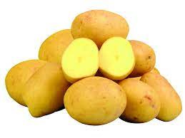 Brambory na uskladnění - 2