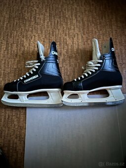 Brusle na led pánské a dámské. - 2
