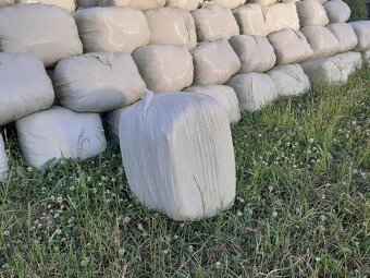 Malé balíky senáže - 2