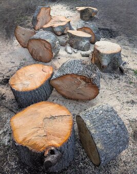 Palivové dřevo - Teplice - 2