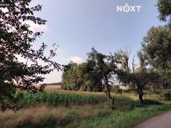 Prodej pozemek Pole, 6011㎡ - 2