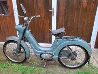 Jawetta 551 - 2