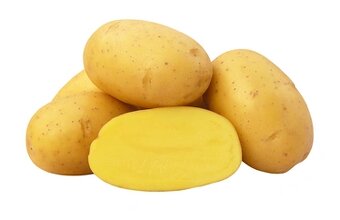 Nové ranné brambory marabel - 2