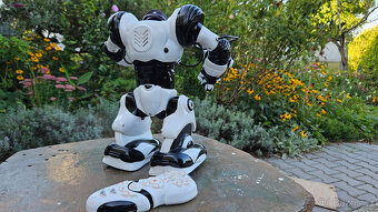 ROBONETICS ROBOSAPIEN Robot - 2