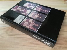 Malá encyklopedie šachu - 2