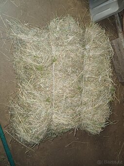 Malé balíky sena PRODÁNO - 2