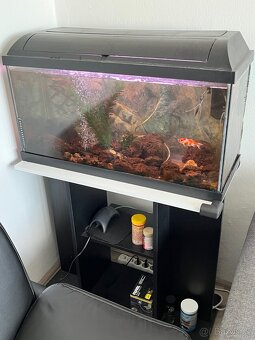 Prodam akvarko 80L i se stolem - 2