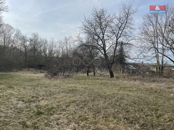 Prodej ovocného sadu, 1184 m², Nová Ves - 2