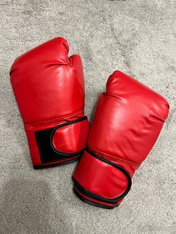 Boxovací hrací deska s rukavicemi - 2