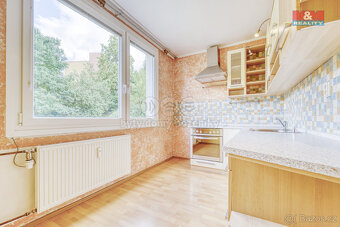 Pronájem bytu 1+1, 38 m², Plasy, ul. Potoční - 2