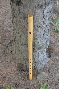 Priečna flauta - 2