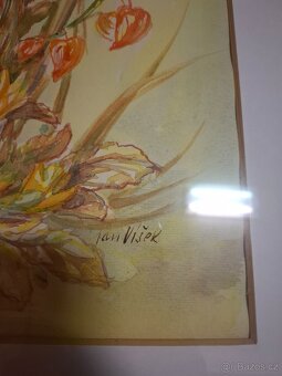 Obraz květiny 12(Jan Víšek)originál - 2