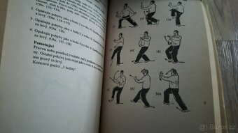 Taiči tradiční čínská cvičení. - 2