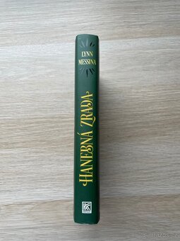 Lynn Messina - Hanebná zrada - 2