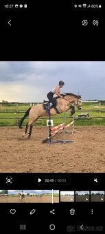 Pastevní ustájení - 2