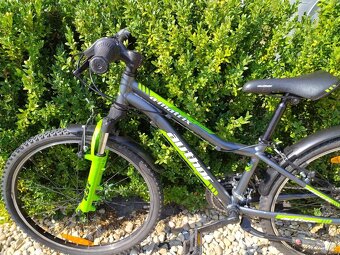 Dětské kolo Author A-Matrix, velikost 24" - 2