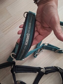 Eskadron ohlavky - 2