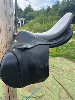 Prestige appaloosa - 2