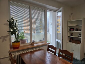 Pronájem byt 2+1 - 2